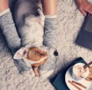 Boycotting Her Song 7 Rings for This Funny post.