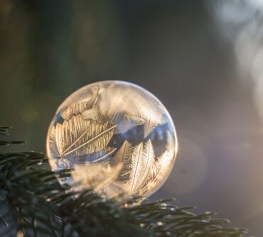 Gosselin to star in new reality show, Kate Plus Date Ups